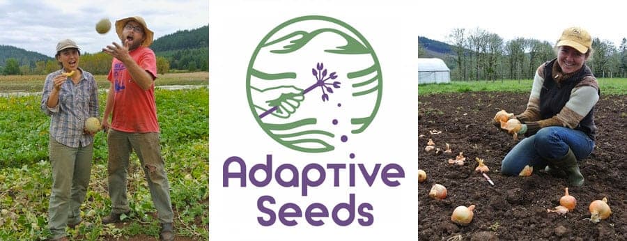 Adaptive Seeds Diverse Open Pollinated And Organic Seed