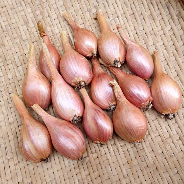 Zebrune Shallot Onion Seeds